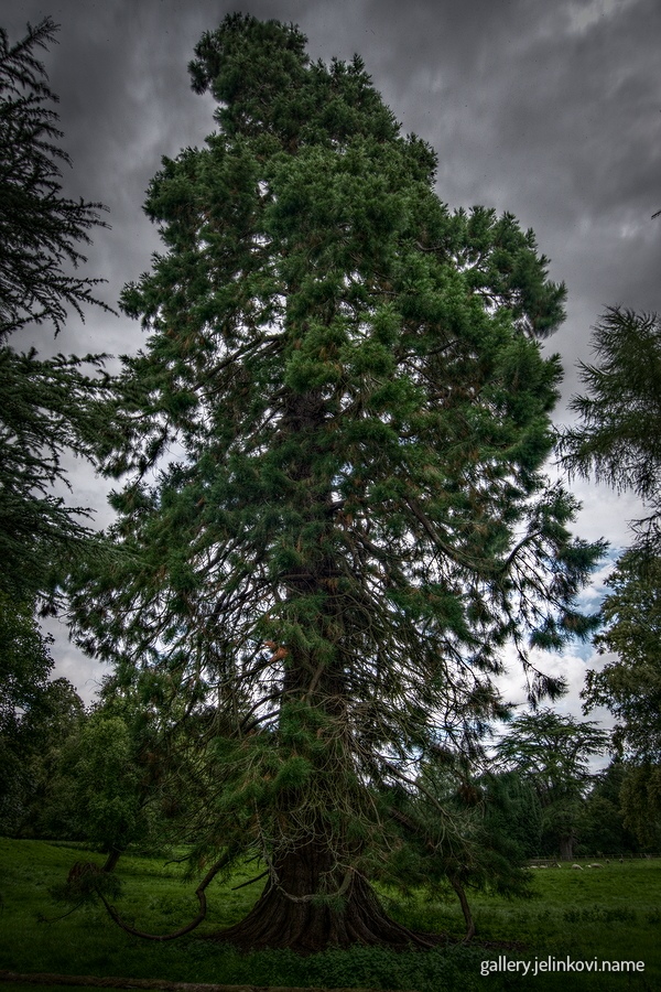 Dryburgh Abbey gardens