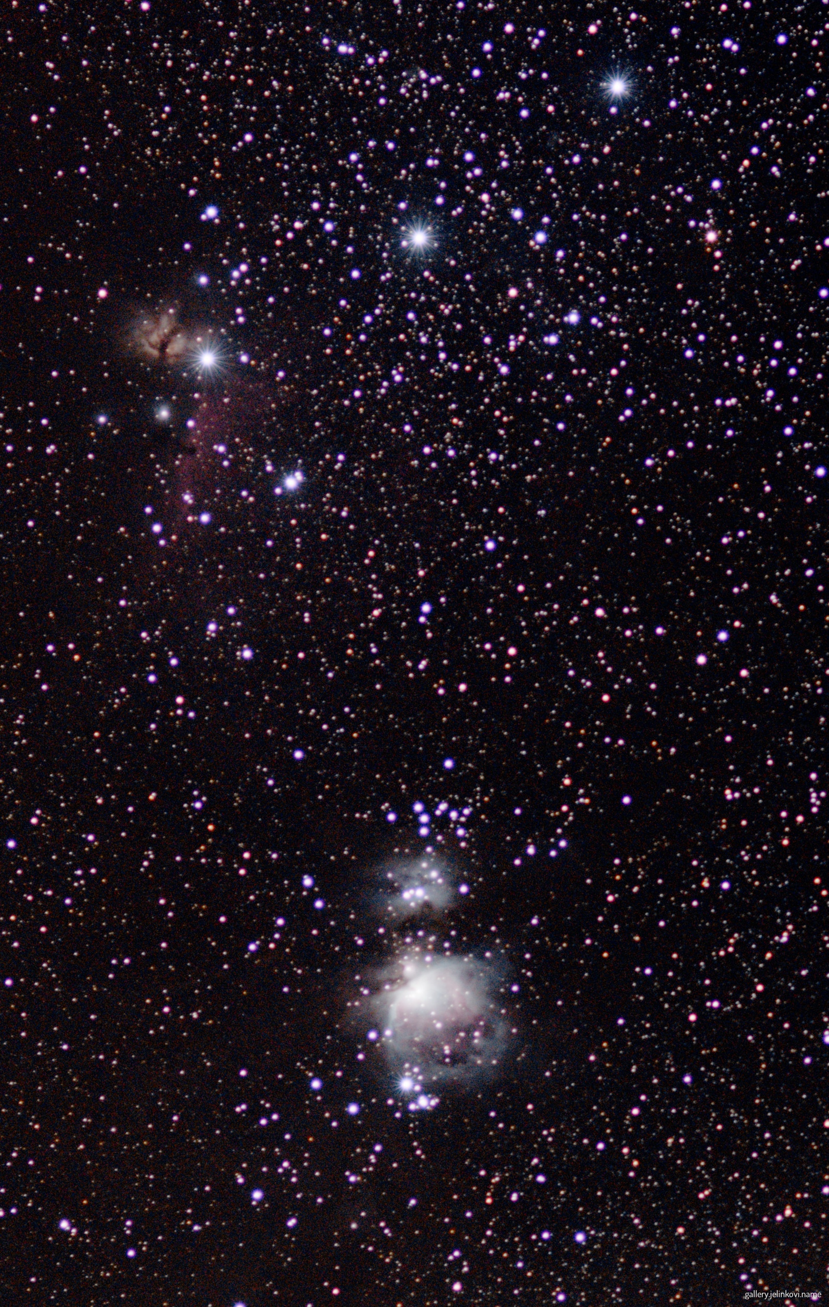 Orion's Belt + [NGC 2024] Flame Nebula + [IC434] Horsehead Nebula + [M42] Great Orion Nebula