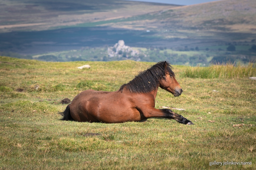 Dartmoor National Park