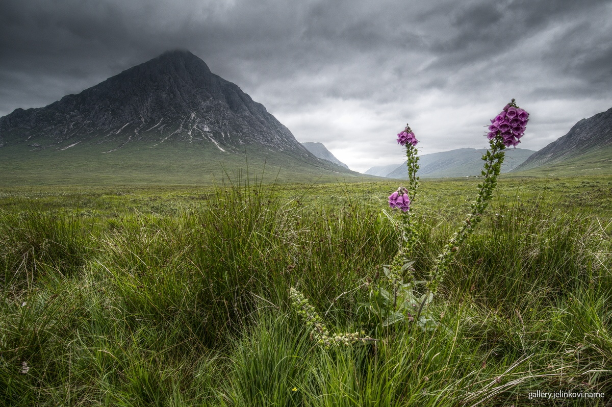 Buachaille Etive Mòr