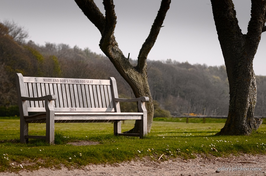 Mary and Bob's Thank You Seat