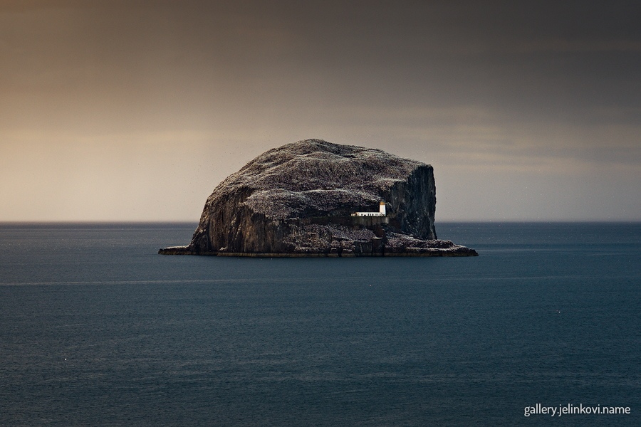 Bass Rock